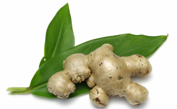 Research: Ginger A Powerful Pain Reliever!