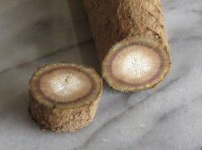 Burdock-Root herbal treatment