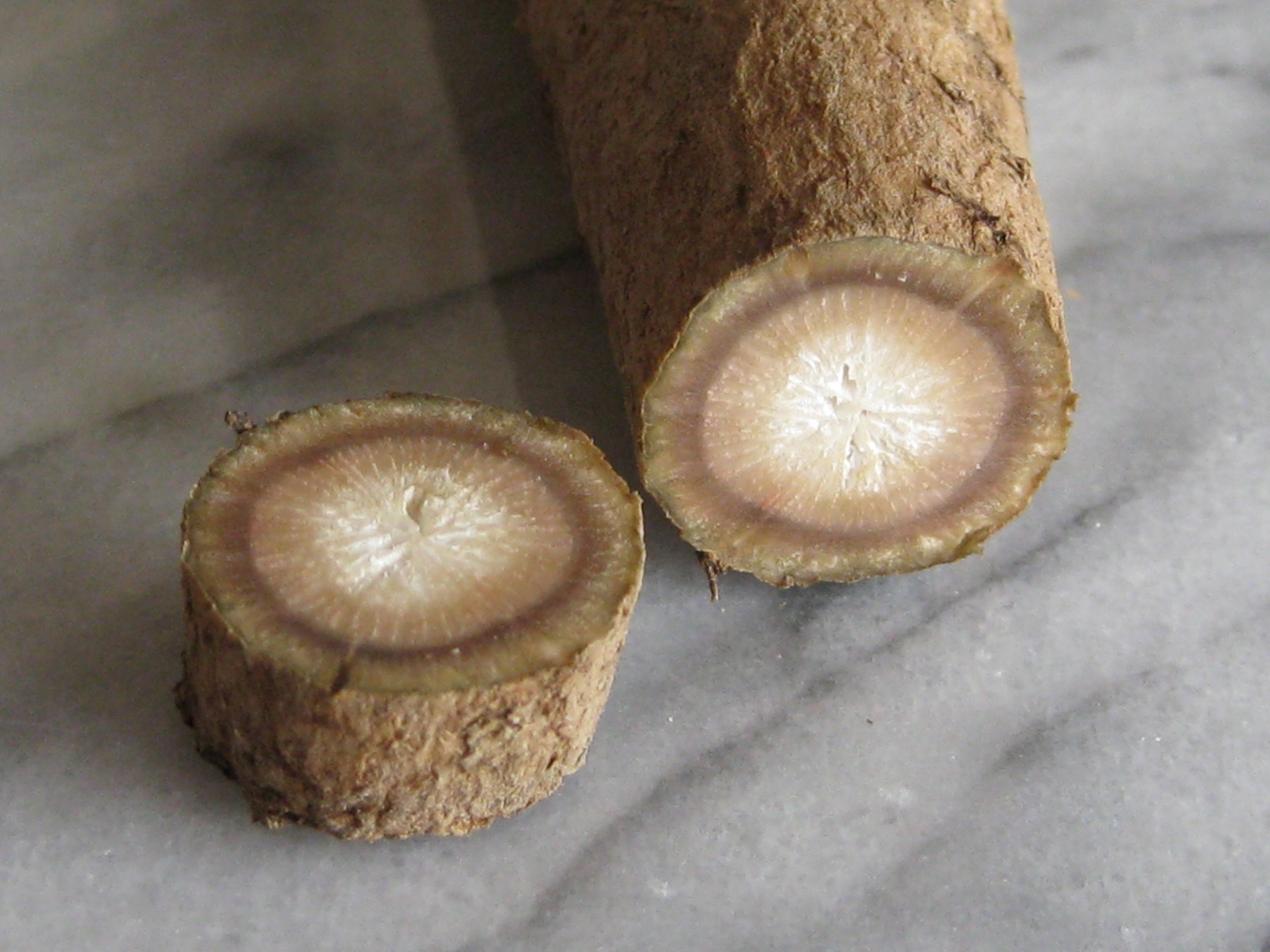 Powerful Burdock Cleanses Your Blood