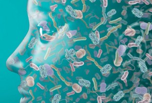 skin microbiome